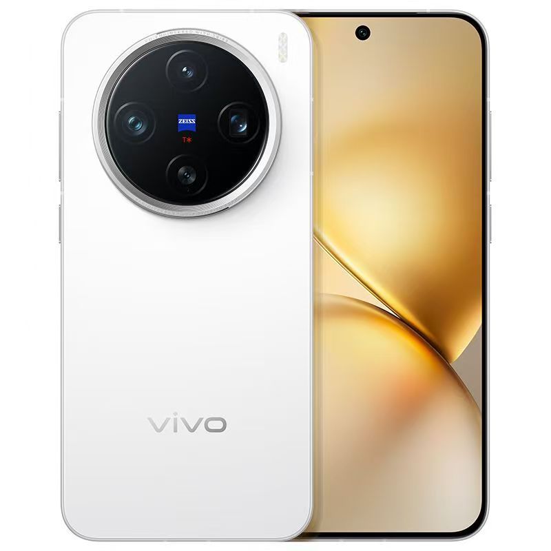 Vivo X200 Pro mini