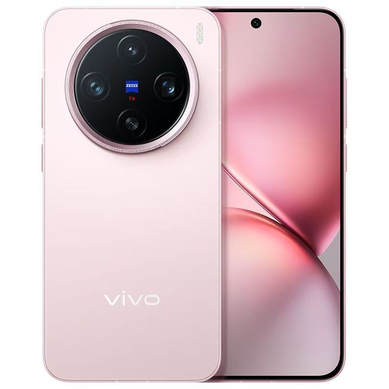 Vivo X200 Pro mini