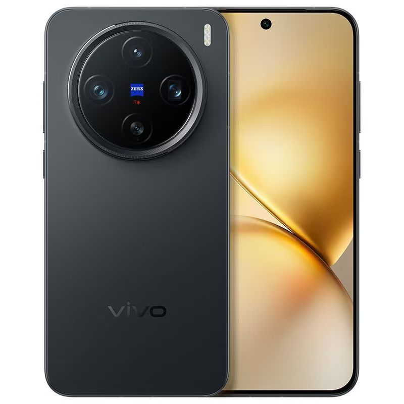 Vivo X200 Pro mini